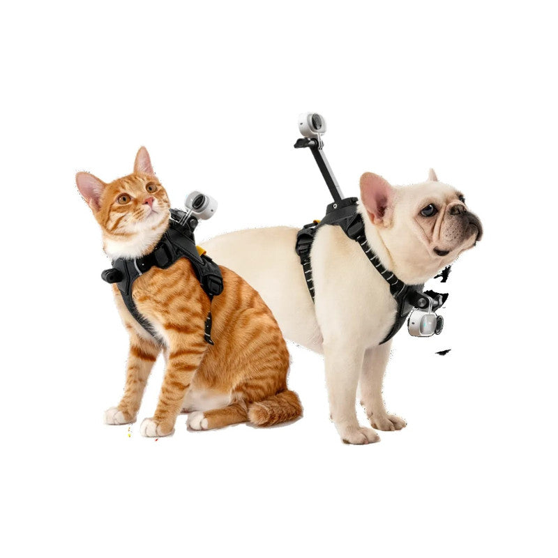 Insta360 GO 3S Pet Harness medium size on a dog