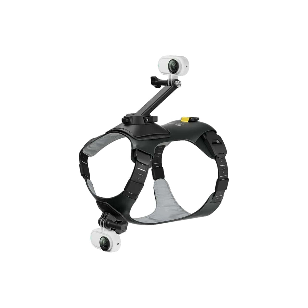 Insta360 GO 3S Pet Harness with camera mounted