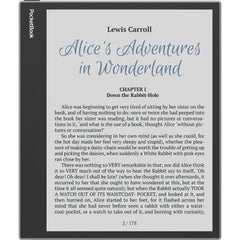 POCKETBOOK Inkpad Eo Color E-Note 10.3Inch Grey