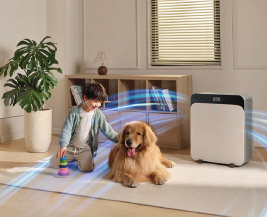 Top 5 Reasons Why You Must Get Blueair Air Purifier in Dubai