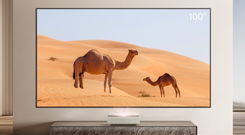 XGIMI 100"ALR Screen|Ambient Light Rejecting Screen, Enhanced Image and Colour Quality, Hi-Resolution, 8K Support, For UST projectors like Aura 2