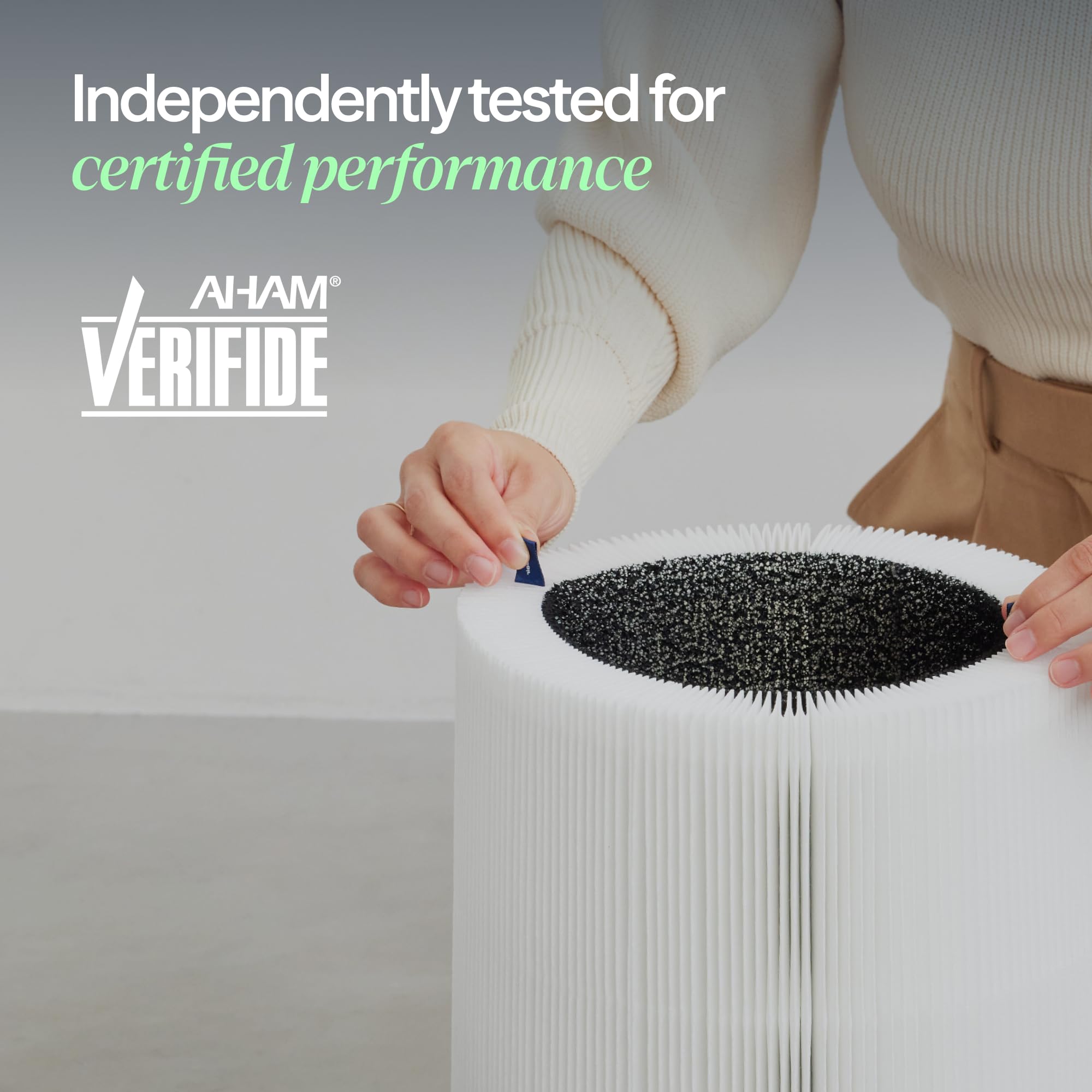 BLUEAIR Filter Particle + Carbon Replacement 211i Max