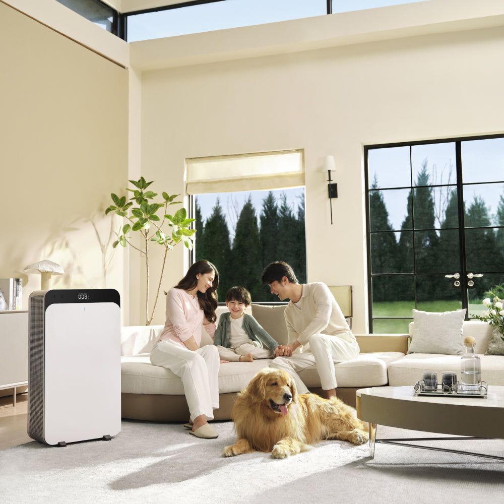 BLUEAIR Air Purifier Classic Pro Cp7I