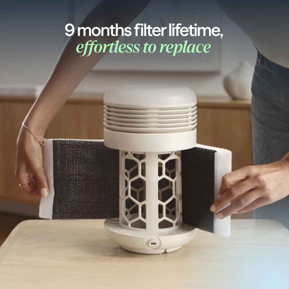 Blueair Mini Restful Particle + Carbon Genuine Replacement HEPA Filter, Removes 99.97% of Airborne Particles, Virus, Bacteria, Odor, Smoke, Easy Replacement, 9-12 months of use - 1pc