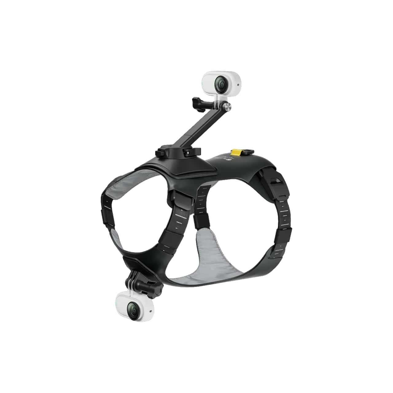Insta360 GO 3S Pet Harness with camera mounted