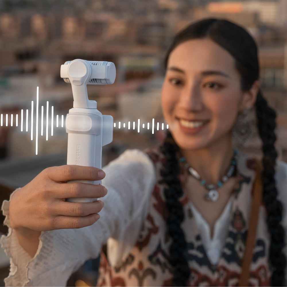Insta360 Luna Series Wind Guard