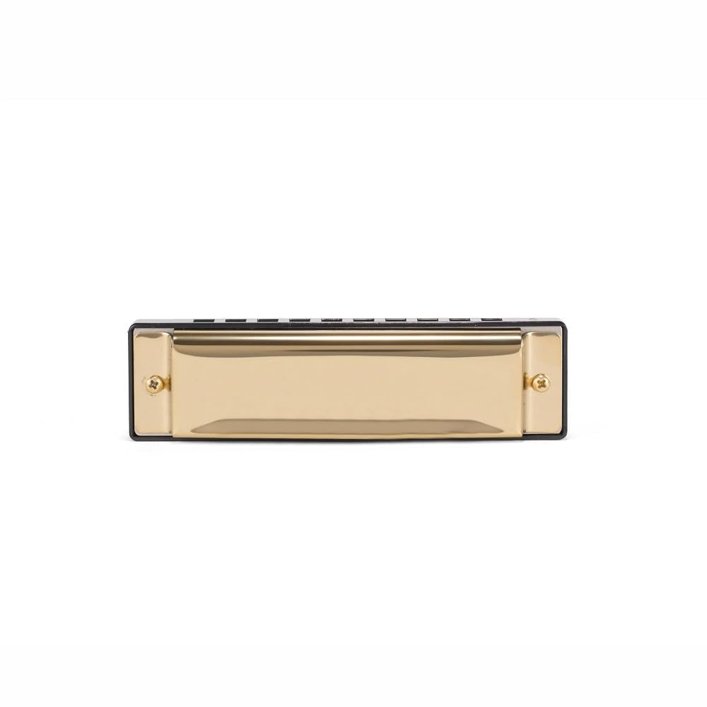Kikkerland Make Your Own Harmonica DIY Kit, Pocket Musical Instrument Building Kit, Hands-On Creative Activity, ABS and Stainless Steel, Silver