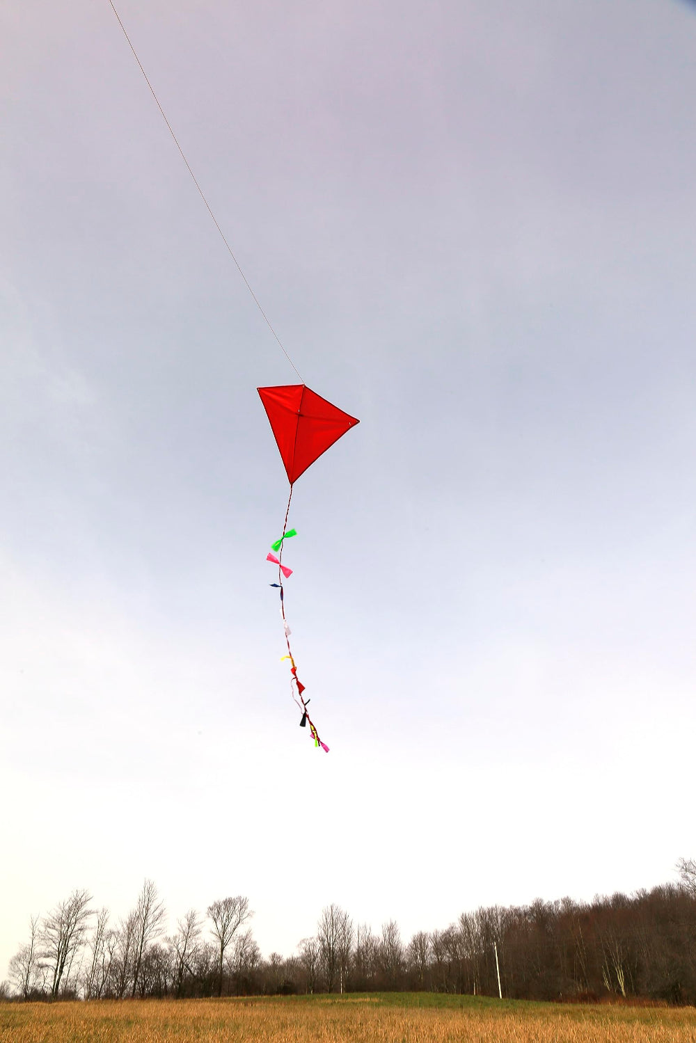 Kikkerland Huckleberry Red Kite, Easy Assemble Outdoor Kite, Durable Ripstop Nylon, Bamboo Frame, Carrying Case and Decorative Ribbons, Red