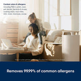 BLUEAIR DustMagnet 5440i| Most Powerful Dust Cleaner, Dual Inlet/Outlet, 3-Stage Filtration, Collects Dust, Gas, Pet Hair, VOCs, Table-Top Design,for Home/Office – Up to 400 sqf Room size - White Grey