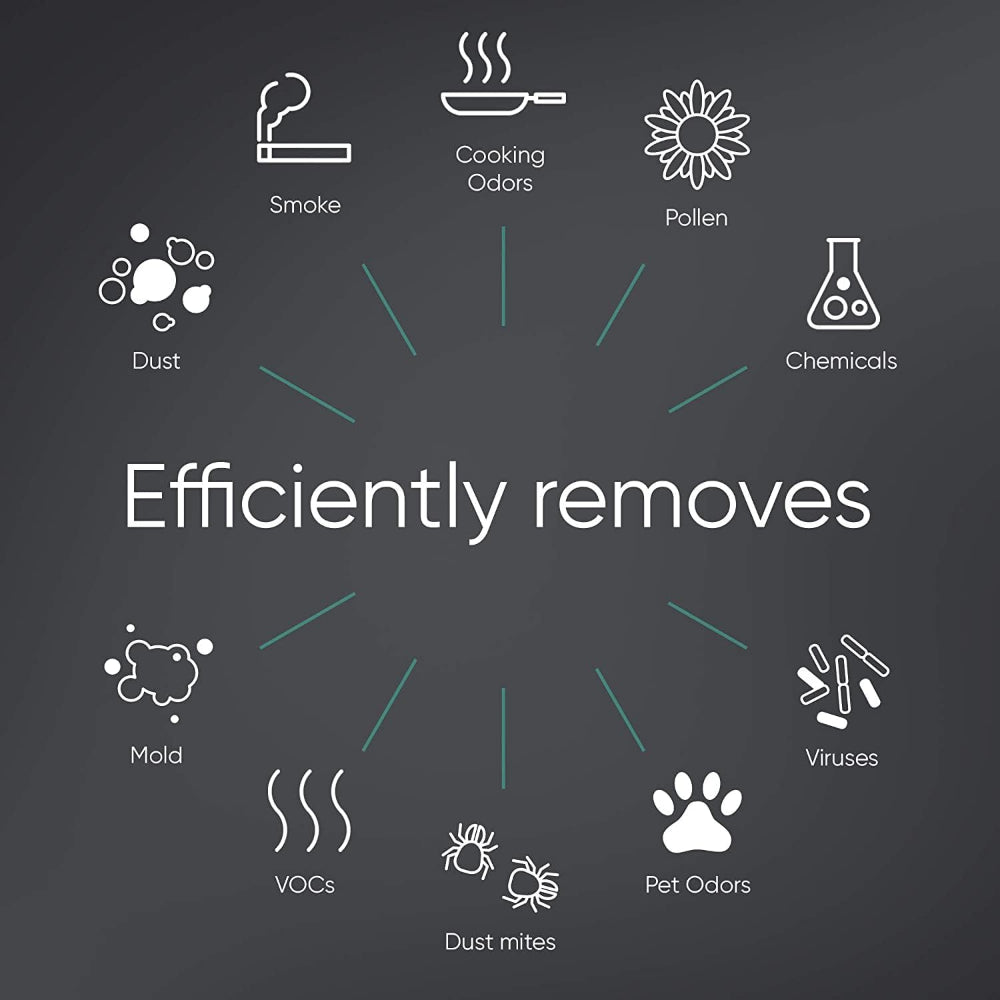 BLUEAIR Protect ComboFilter 7300| Genuine High Efficiency Replacement Filter for Blueair 7310i and 7370i Air Purifiers, Filters Airborne Pollen, Dust, Pet Hairs, Cooking Odors, Gas, w/ RFID - 2pcs