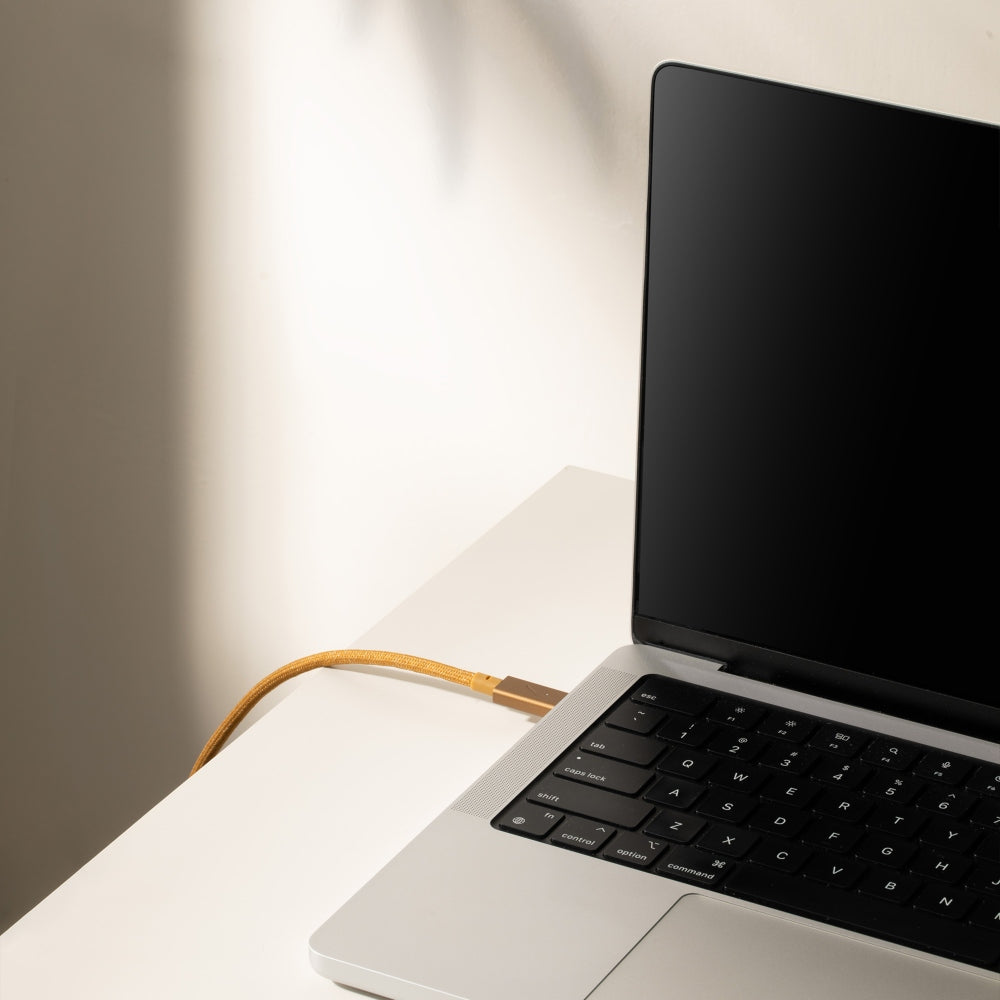 NATIVE UNION Belt Pro USB-C to USB-C Charging Cable 2.4M - Kraft