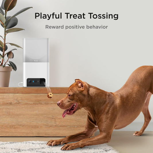 كاميرا Petcube Bites 2 Lite | كاميرا ذكية متعددة الوظائف عالية الدقة للحيوانات الأليفة مع موزع مكافآت - أبيض