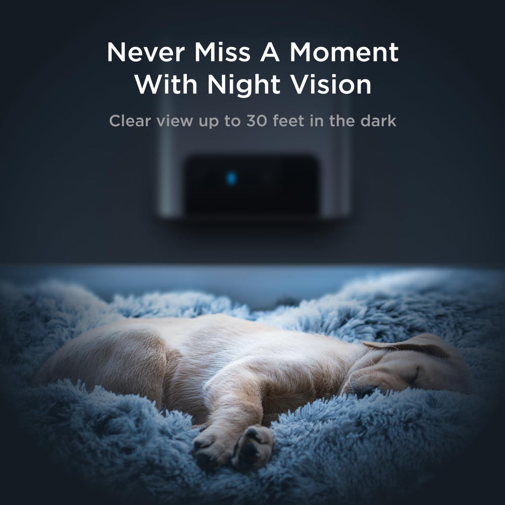 Petcube Bites 2 Lite | All-in-One Smart HD Pet Camera w/ Treat Dispenser - White