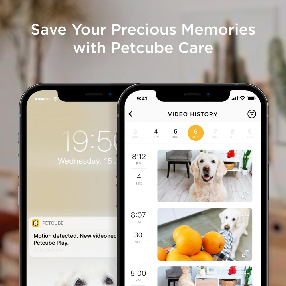 Petcube Bites 2 Lite | All-in-One Smart HD Pet Camera w/ Treat Dispenser - White