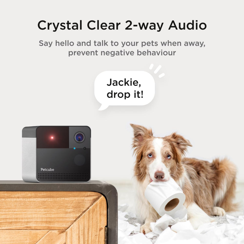 Petcube Play 2 | AI-Powered Smart HD Pet Camera w/ Laser Pointer - Grey