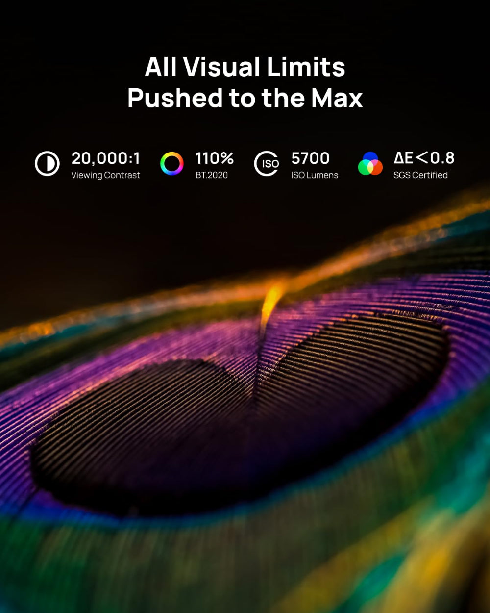 هورايزون 20 برو 