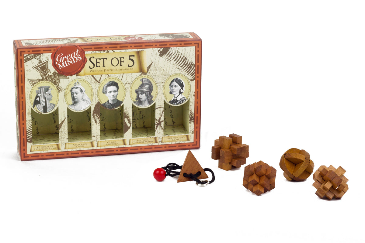 [OPEN BOX] PROFESSOR PUZZLE Great Minds Collection 3D Wooden Assembly Puzzles - Set of 5 Women