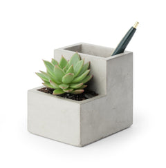 Kikkerland Concrete Small Planter And Pen Holder - Gray