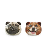 KIKKERLAND Dog Stress Balls - Multi-color