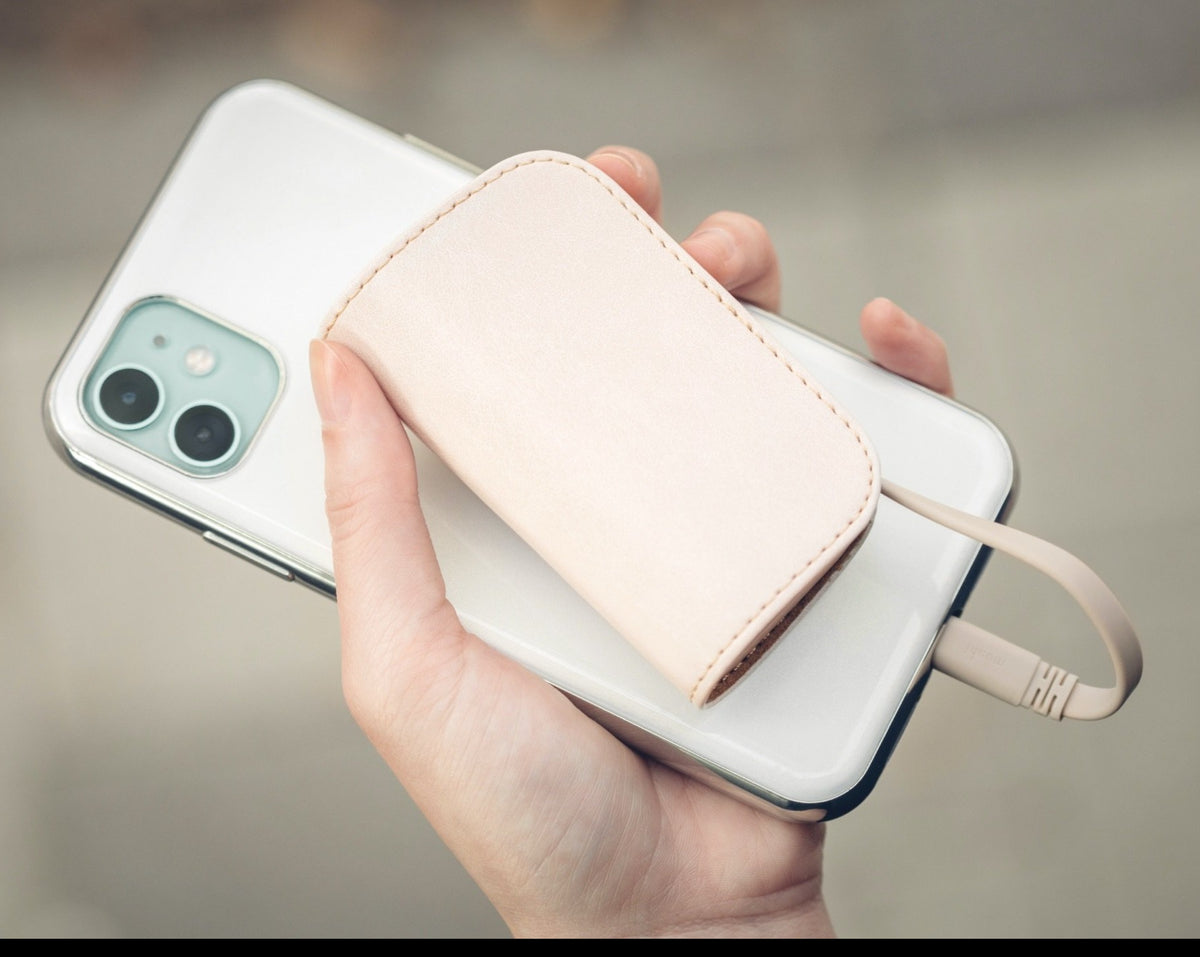 MOSHI IonGo 5K Portable Battery with built-in Lightning and USB-A Cables - Ivory White